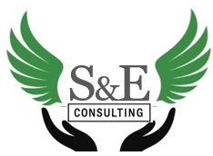 Safe & Excel Consulting logo